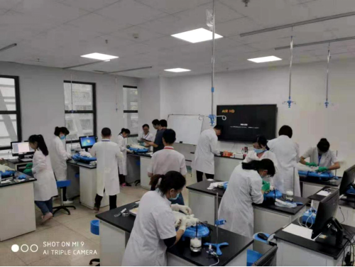 九江学院基础医学院教师在“2019年全国青年教师机能学实验技能大