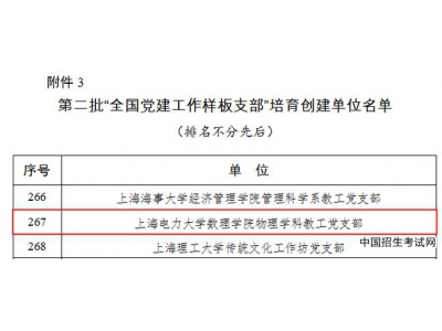 上海电力大学数理学院物理学科教工党支部入选第二批“全国党建工